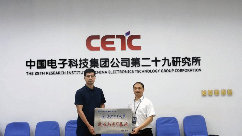 电子代工行业规范解析：优缺点与行业影响
