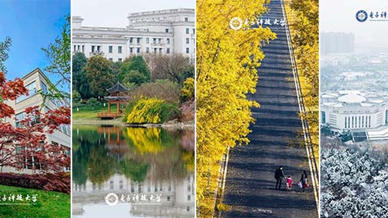 电子加工定制：揭秘选厂家的关键因素
